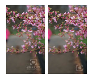 Logo Design by Jo L. for this project | Design: #5887758