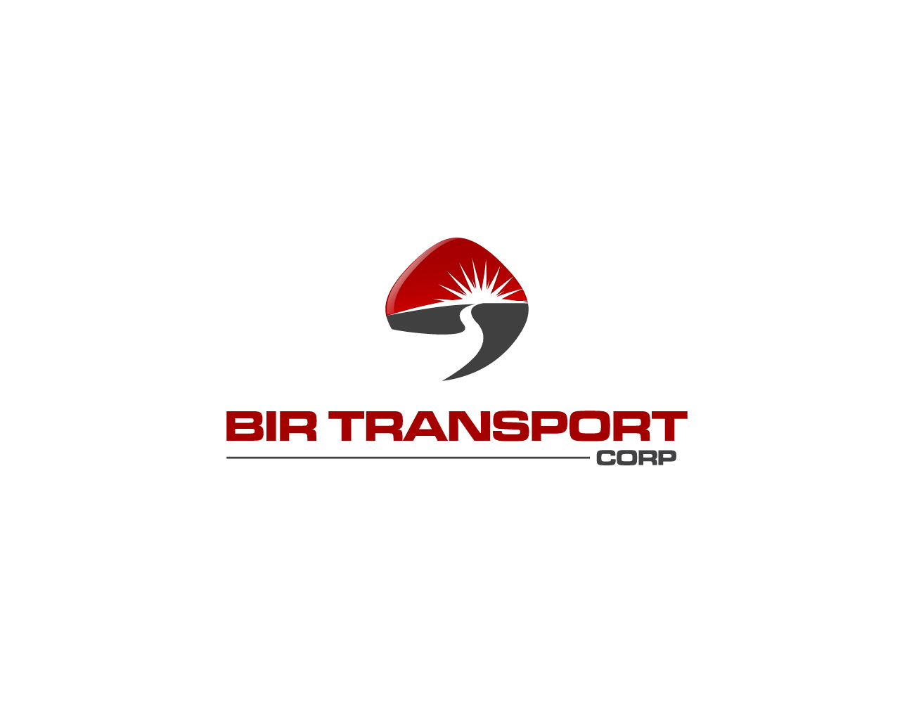 Design de Logo par NDRO pour BIR TRANSPORT CORP | Design #5923662