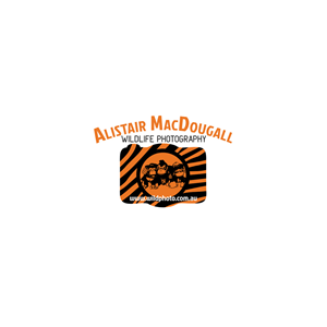 Logo Design by Venus L. Penaflor for Alistair MacDougall | Design #5888660