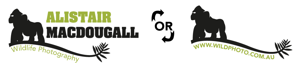 Logo Design by Kiwi Designs SA for Alistair MacDougall | Design #5889861