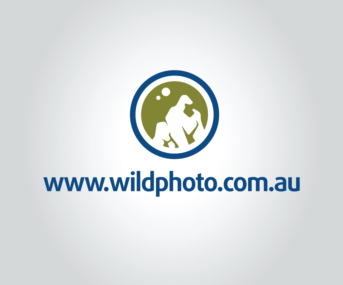 Logo Design by vilhelmalex82 for Alistair MacDougall | Design #5905097