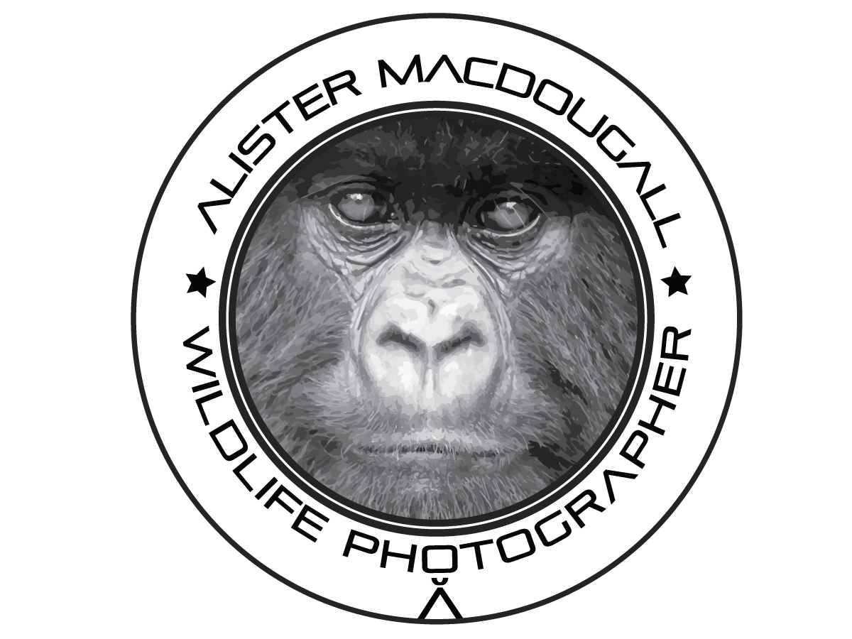 Design de Logo par nageshinc pour Alistair MacDougall | Design #5903075