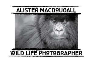 Logo Design by nageshinc for Alistair MacDougall | Design: #5903156