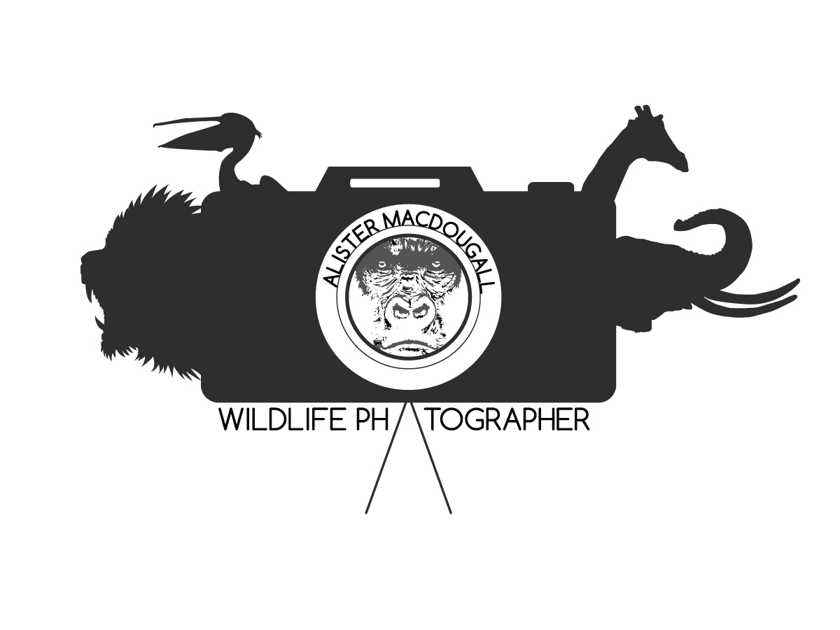 Logo Design by nageshinc for Alistair MacDougall | Design #5903298