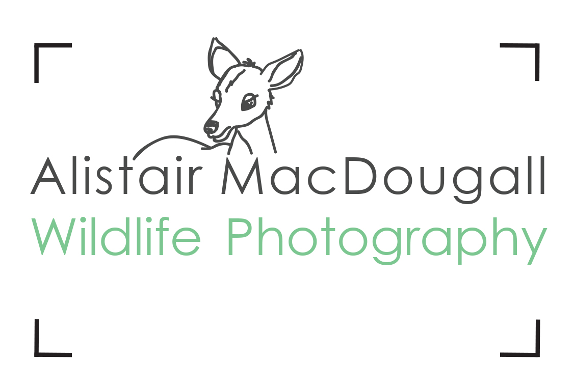 Logo Design by danielle.baggaley for Alistair MacDougall | Design #5890777