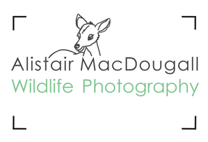 Logo Design by danielle.baggaley for Alistair MacDougall | Design: #5890777