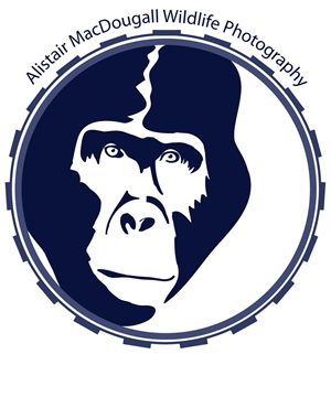 Logo Design by RMac33 for Alistair MacDougall | Design: #5894305