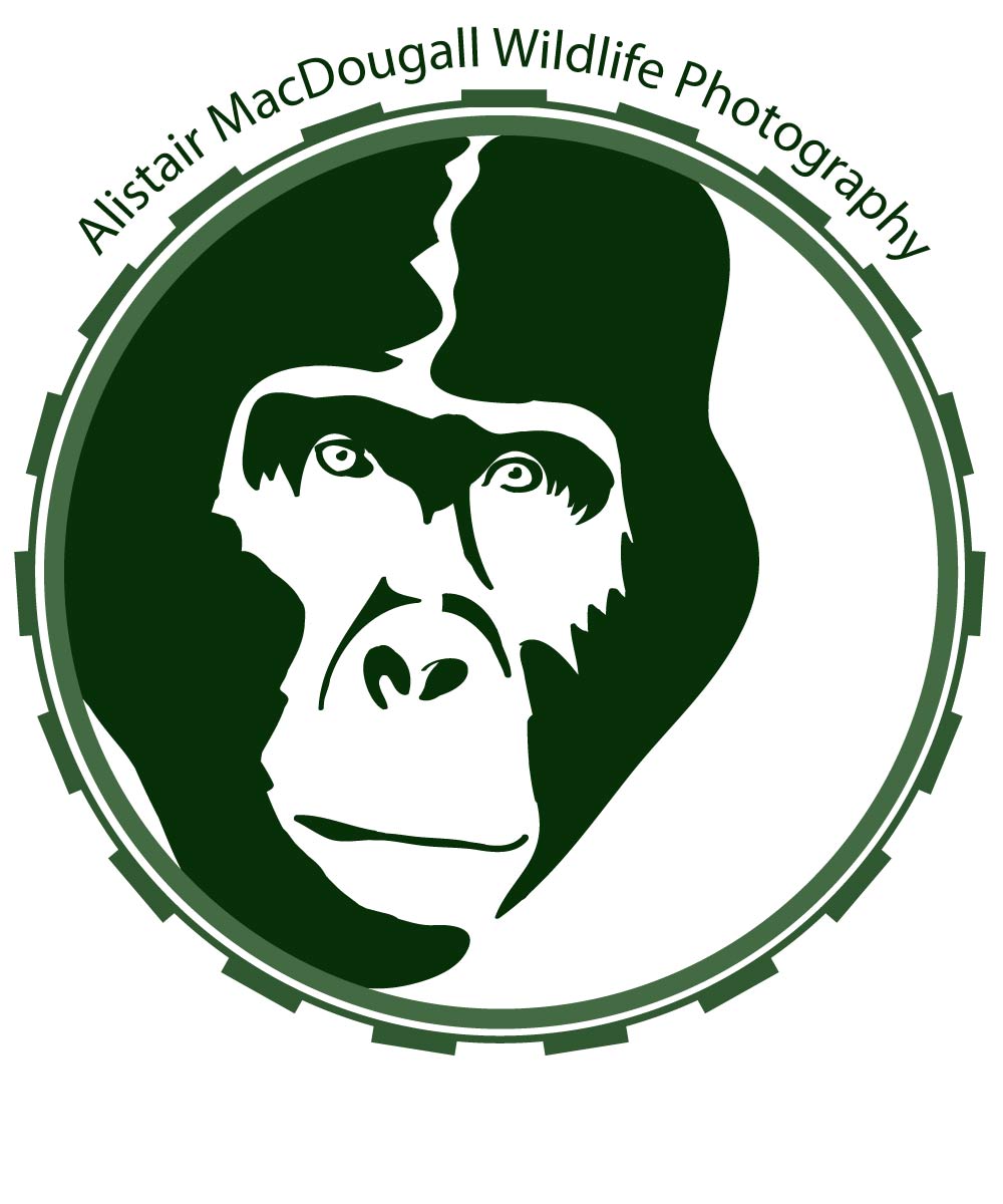 Logo Design by RMac33 for Alistair MacDougall | Design #5894307