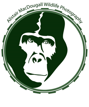 Logo Design by RMac33 for Alistair MacDougall | Design: #5894307