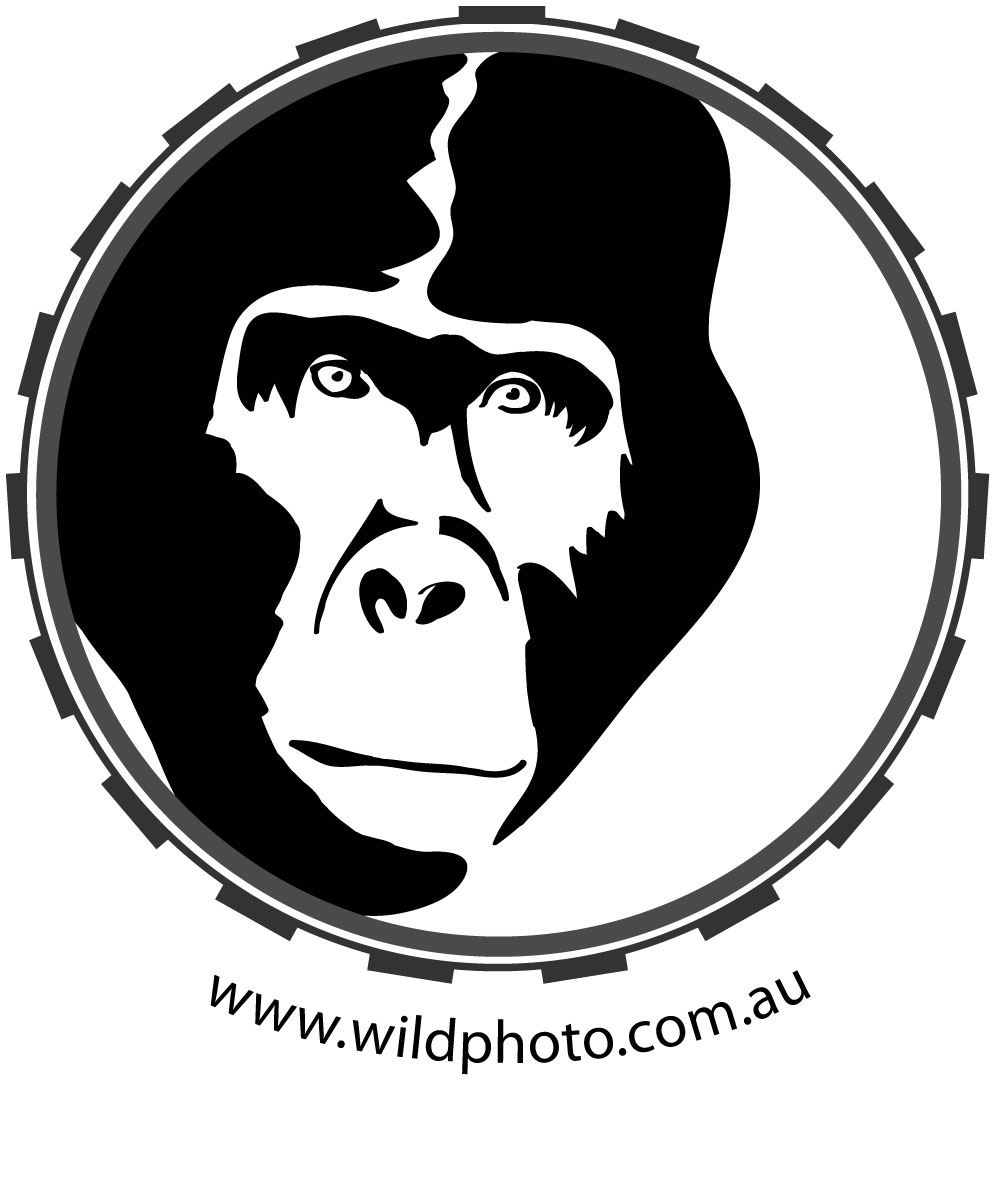 Logo Design by RMac33 for Alistair MacDougall | Design #5894320