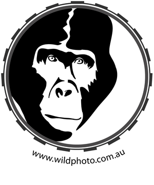 Logo Design by RMac33 for Alistair MacDougall | Design: #5894320