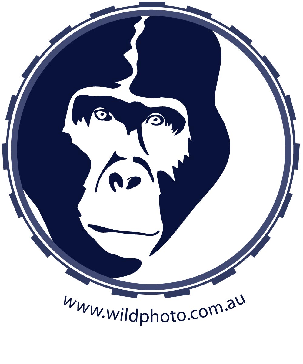 Logo Design by RMac33 for Alistair MacDougall | Design #5894326