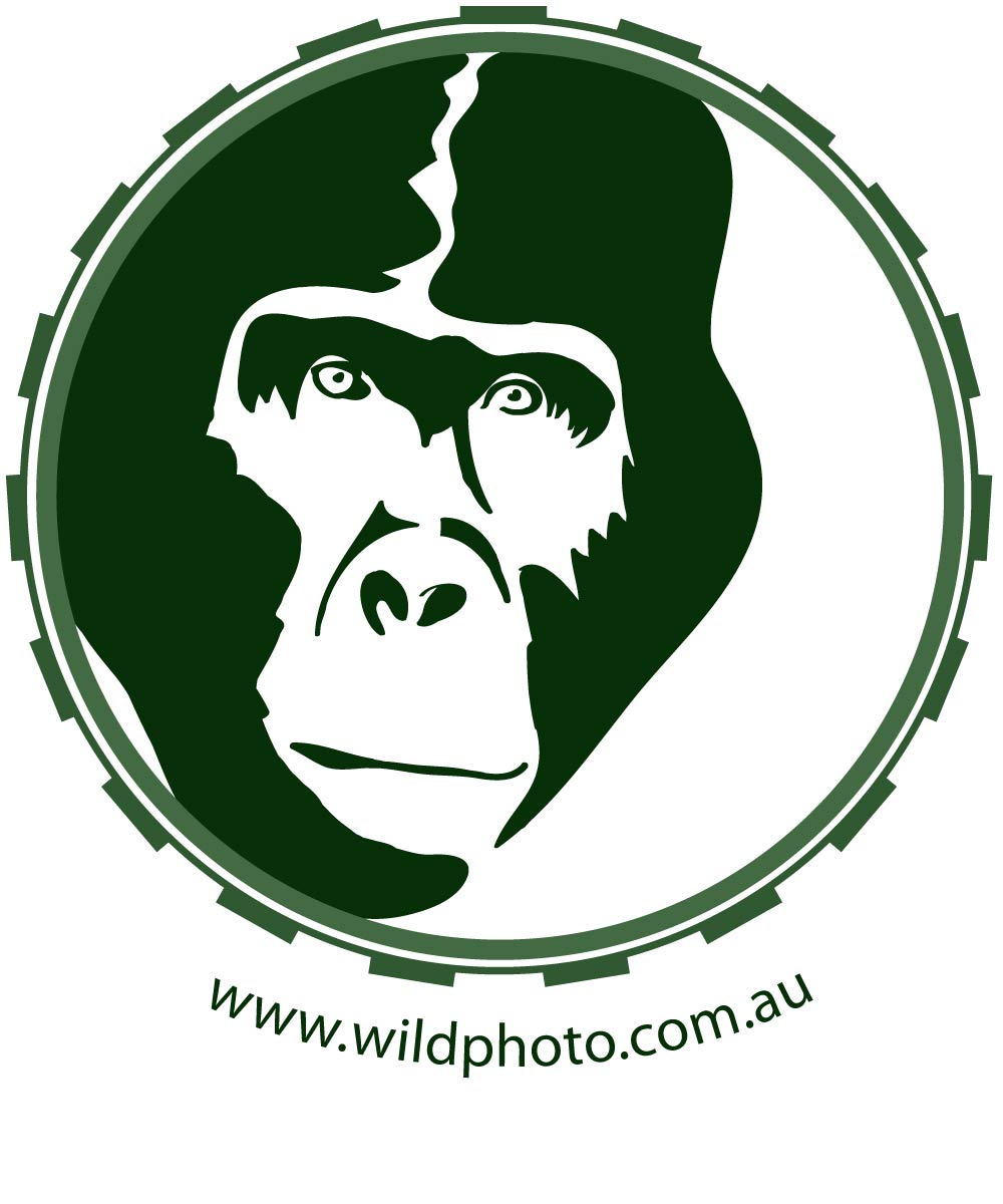 Logo Design by RMac33 for Alistair MacDougall | Design #5894327