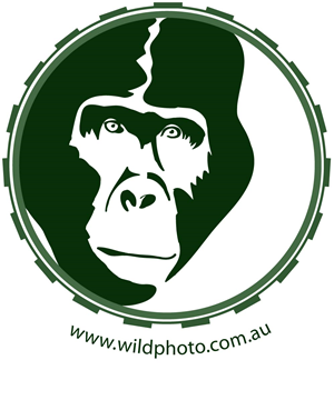 Logo Design by RMac33 for Alistair MacDougall | Design: #5894327