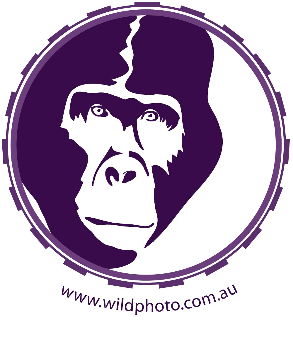 Logo Design by RMac33 for Alistair MacDougall | Design #5894328
