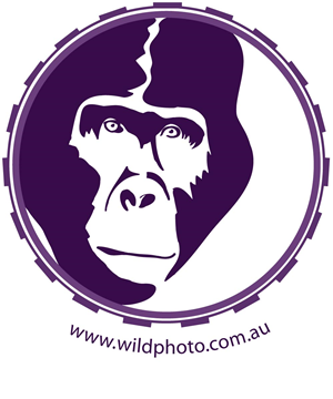 Logo Design by RMac33 for Alistair MacDougall | Design: #5894328