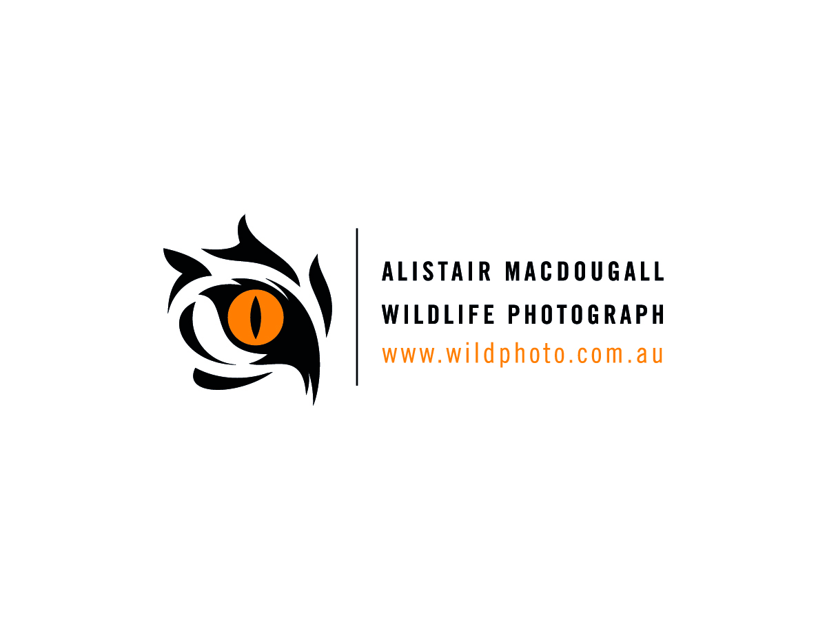 Logo Design by bdk1976 for Alistair MacDougall | Design #5892192