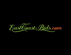 Logo Design by annaki