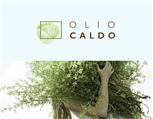 Logo Design by Moonk