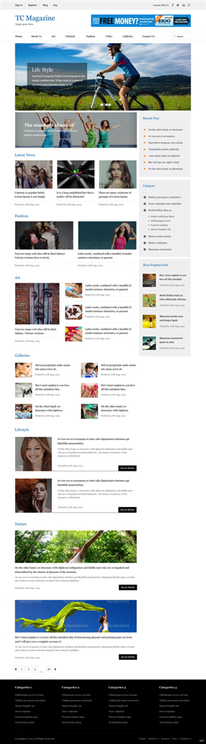 Wordpress Design by pb for ThemeCountry | Design: #5908167