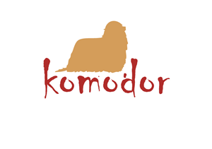 Logo Design by Shine