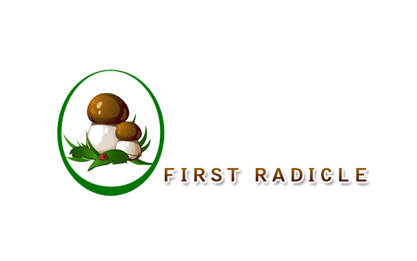 Logo Design by Perfect for Martin Tech Labs | Design #1622093