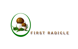 Logo Design by Perfect for Martin Tech Labs | Design #1622093