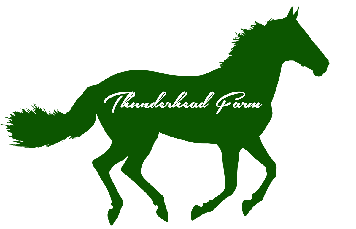 Logo Design by BassLine Leaners for this project | Design #5893951