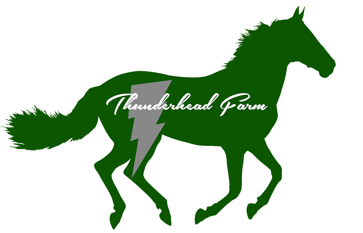 Logo Design by BassLine Leaners for this project | Design #5911892