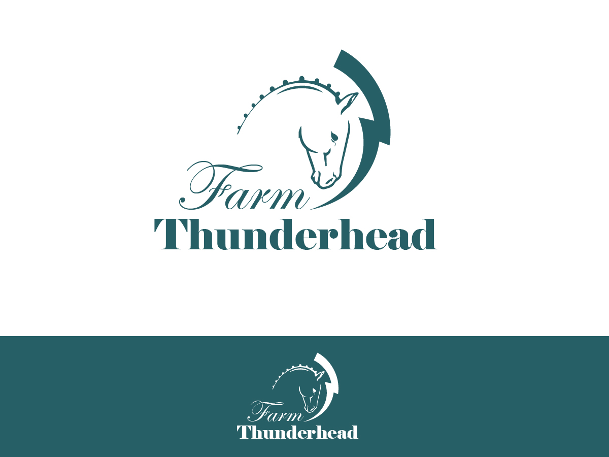 Logo Design by Kristijan Trajchev for this project | Design #5983458