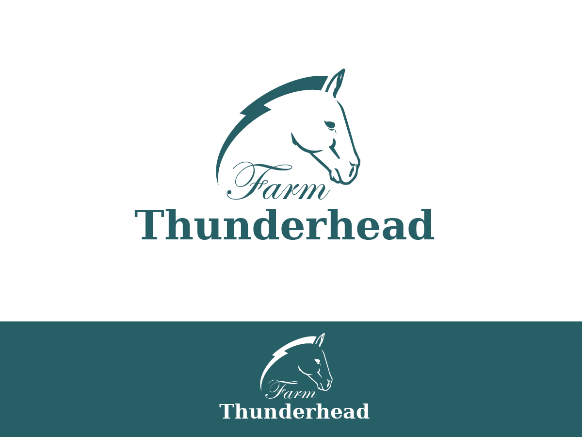 Logo Design by Kristijan Trajchev for this project | Design #5983461