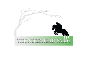 Design de Logo par dinug.312 pour ce projet | Design #5956918
