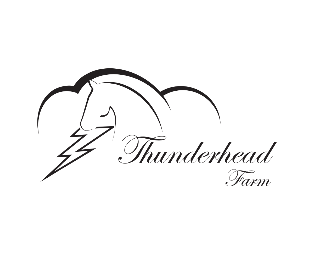 Logo Design by Farzan Kermani for this project | Design #5934000