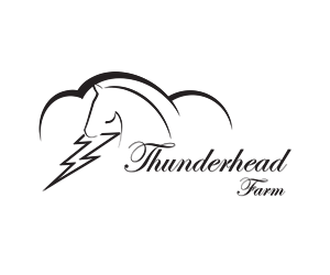 Design de Logo par Farzan Kermani pour ce projet | Design : #5934000