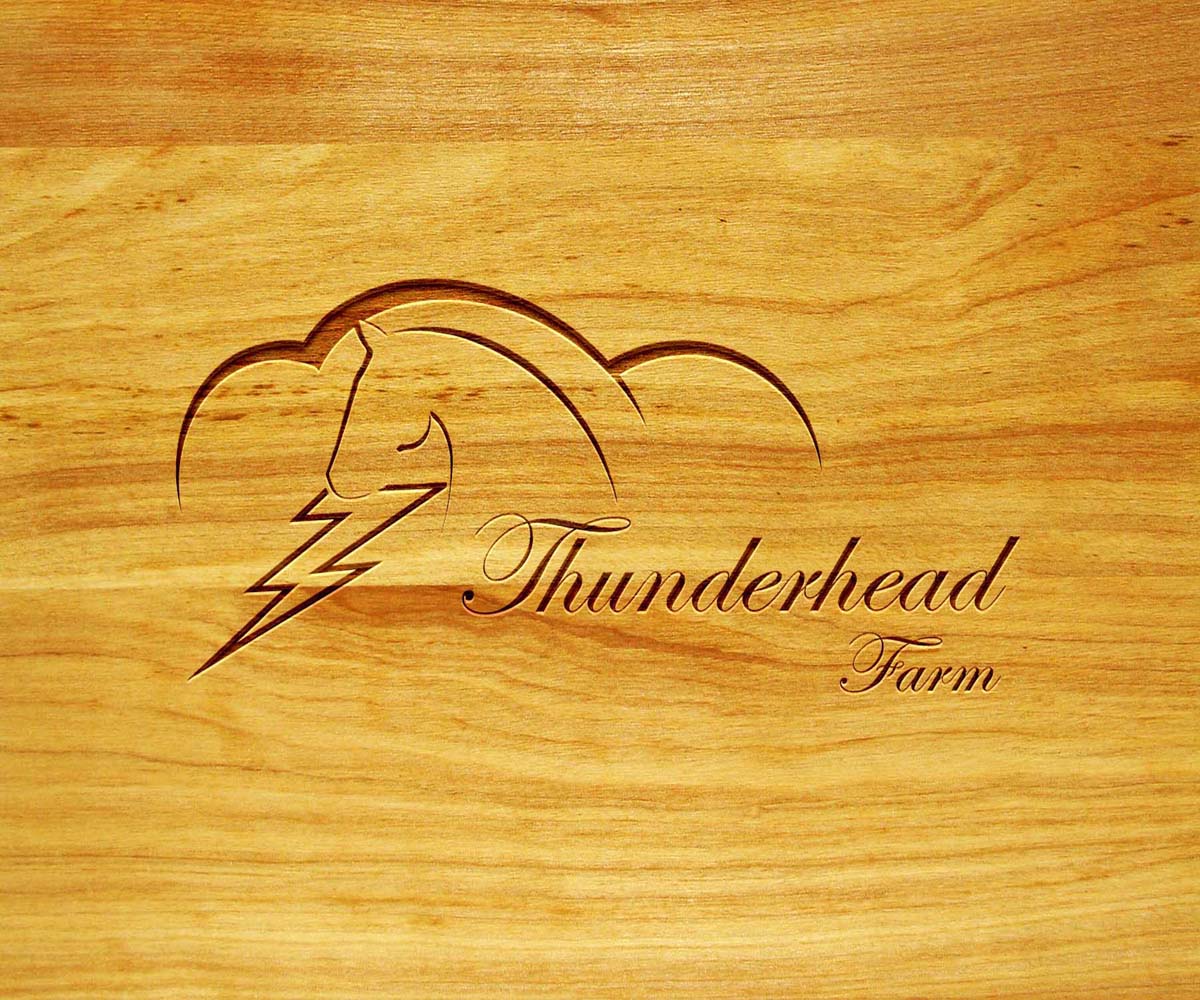 Logo Design by Farzan Kermani for this project | Design #5934006