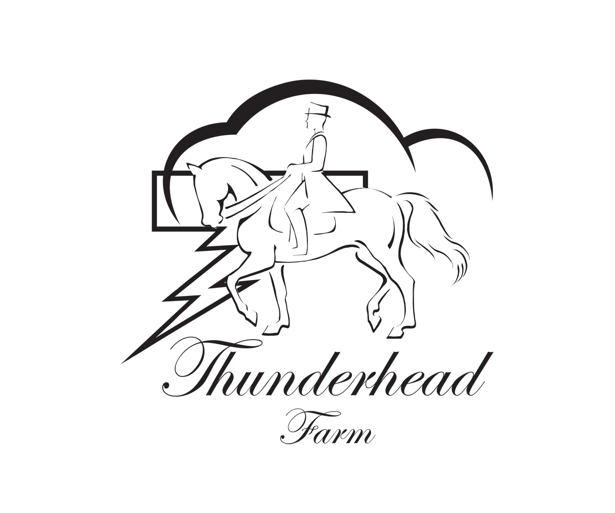 Logo Design by Farzan Kermani for this project | Design #6009800