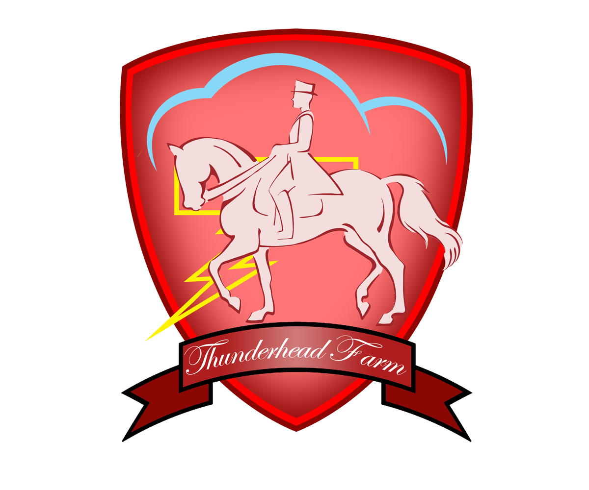 Logo Design by Farzan Kermani for this project | Design #6010101