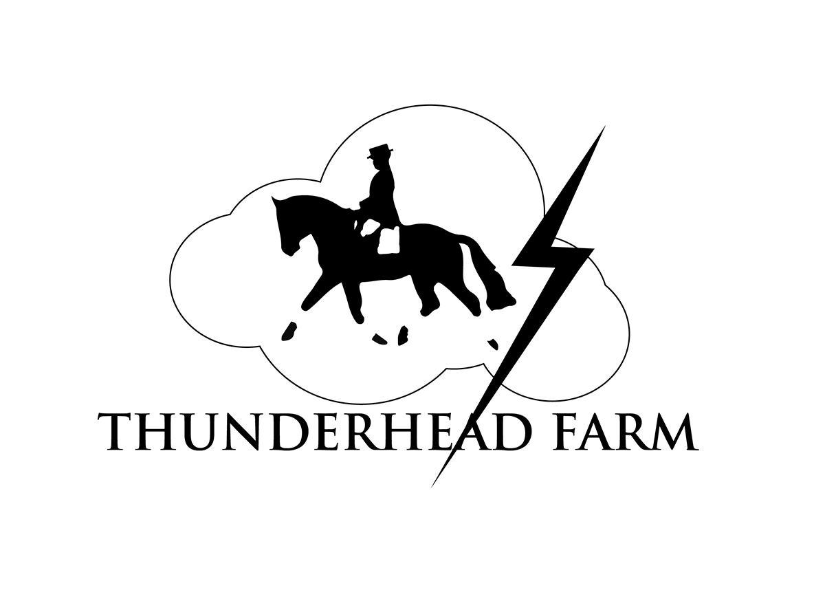 Logo Design by perthdesigns for this project | Design #6011553