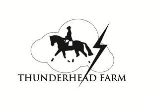 Logo Design by perthdesigns