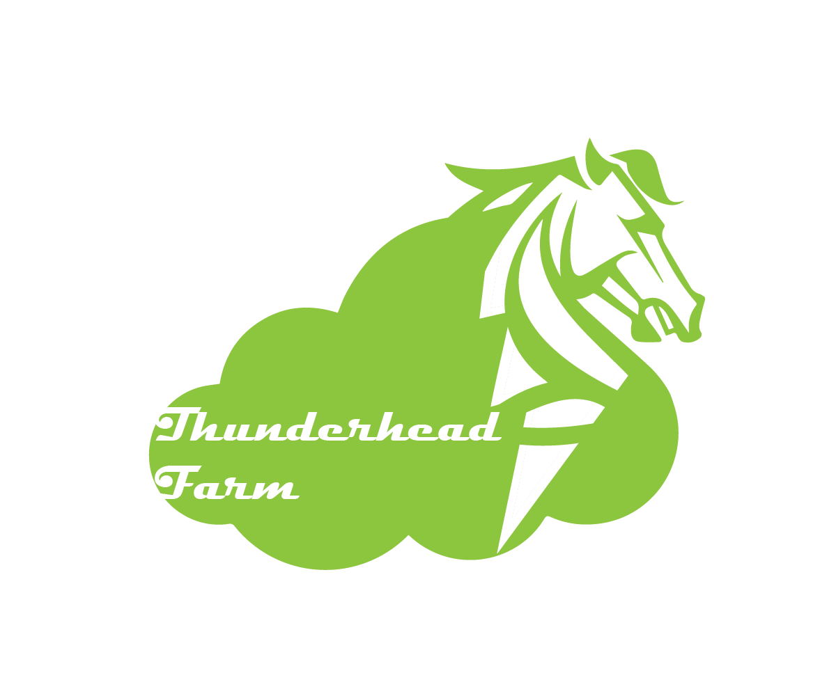 Logo Design by ARCHI.RASEL for this project | Design #5917673