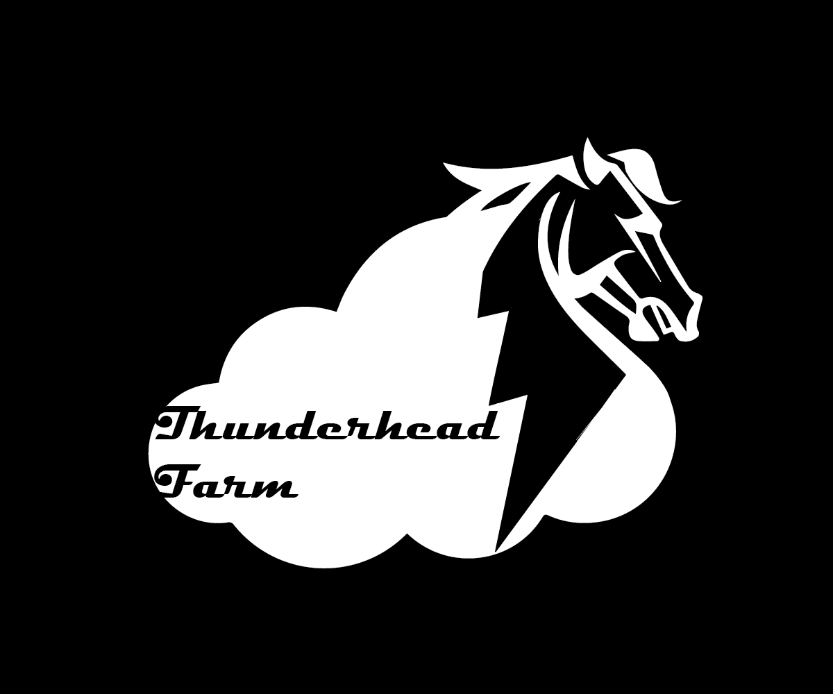 Logo Design by ARCHI.RASEL for this project | Design #5917681