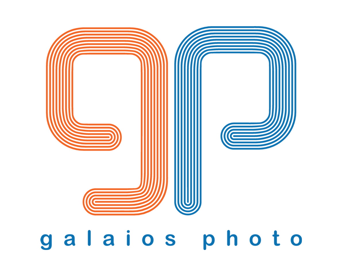 Logo Design by Dan_Bo for Galaios photostore | Design #6159749