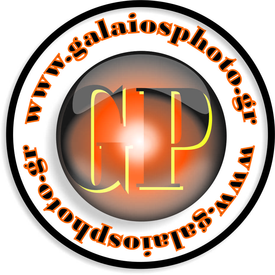 Logo Design by fubberooni for Galaios photostore | Design #6106280
