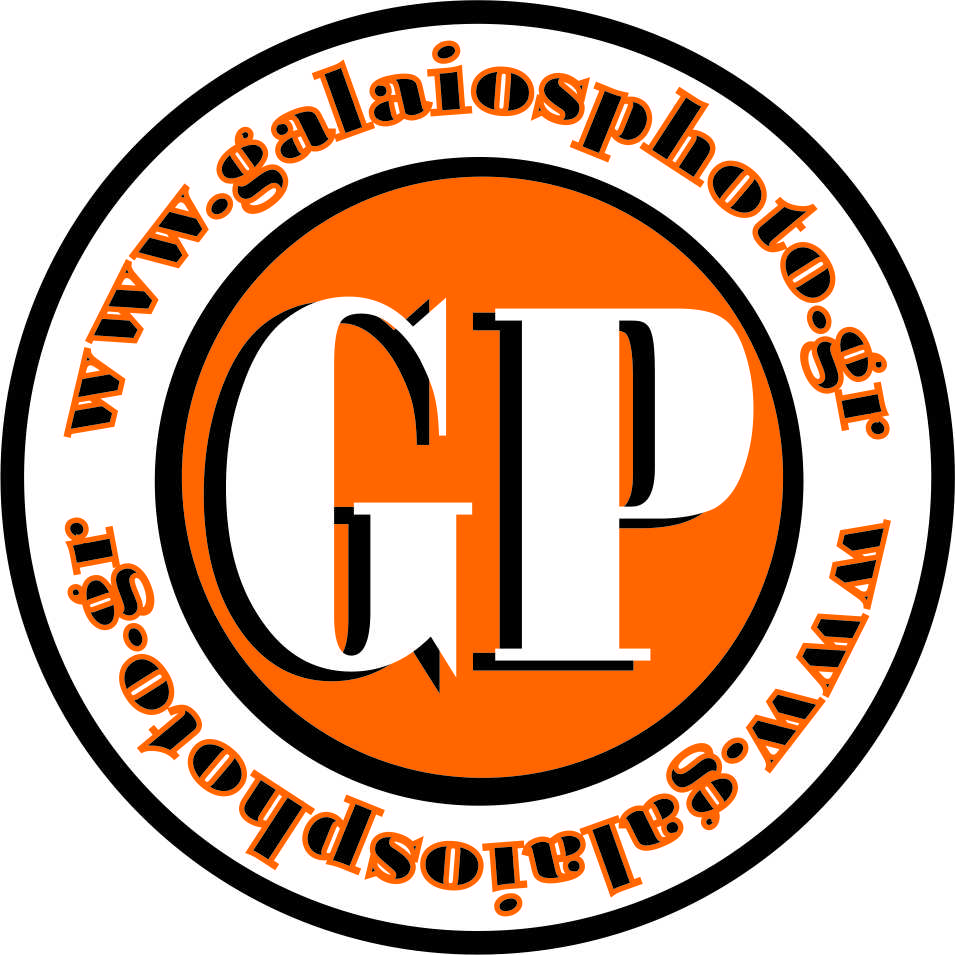 Logo-Design von fubberooni für Galaios photostore | Design #6106301