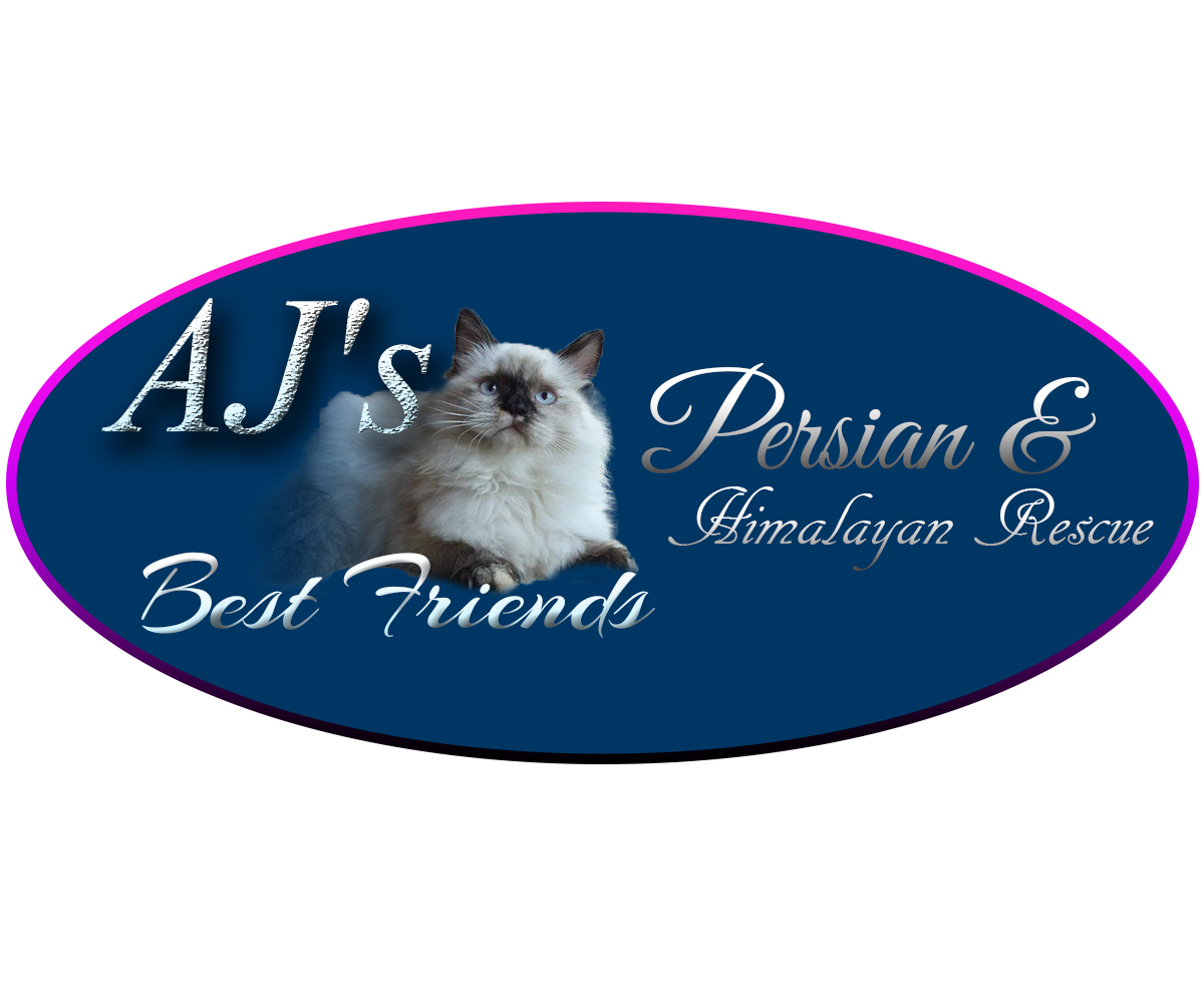 Logo Design by NewmieNetDesigns for this project | Design #5900957