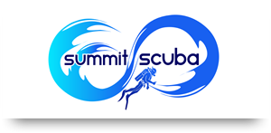 Logo Design by rednixvenkat85 for this project | Design: #5929434