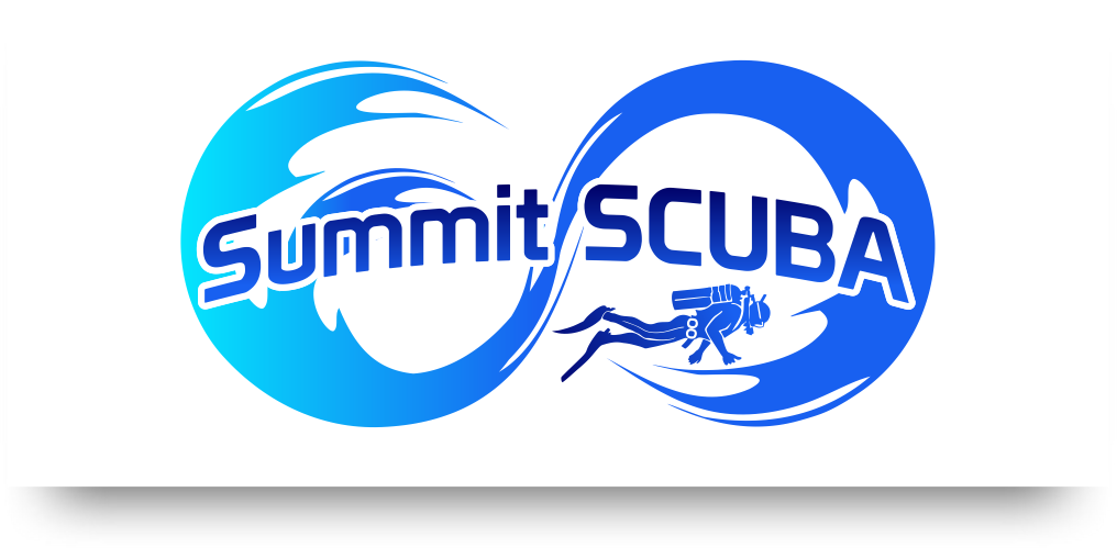 Logo Design by rednixvenkat85 for this project | Design #5938320