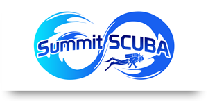 Logo Design by rednixvenkat85 for this project | Design: #5938320