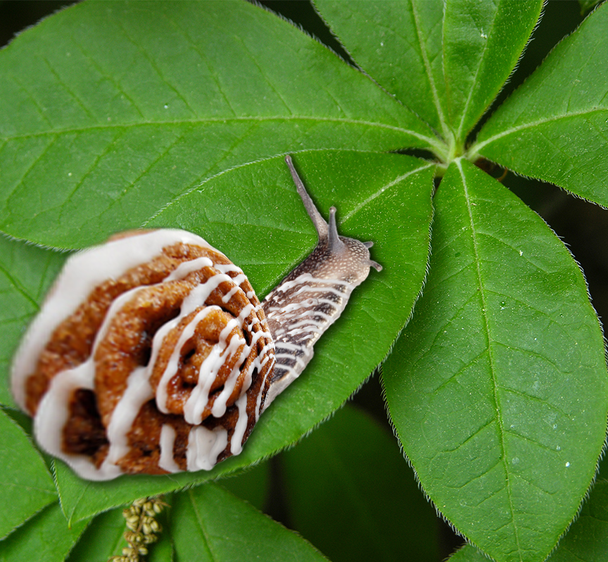 Grafik-Design von robertspj222 für DesignCrowd LLC | Design #6030760