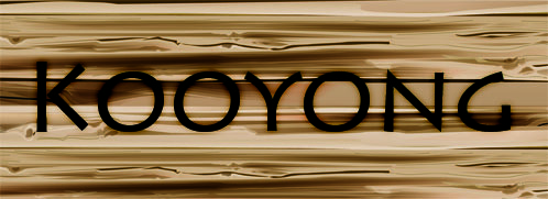 Logo-Design von Hayley Dykes für dieses Projekt | Design #316756